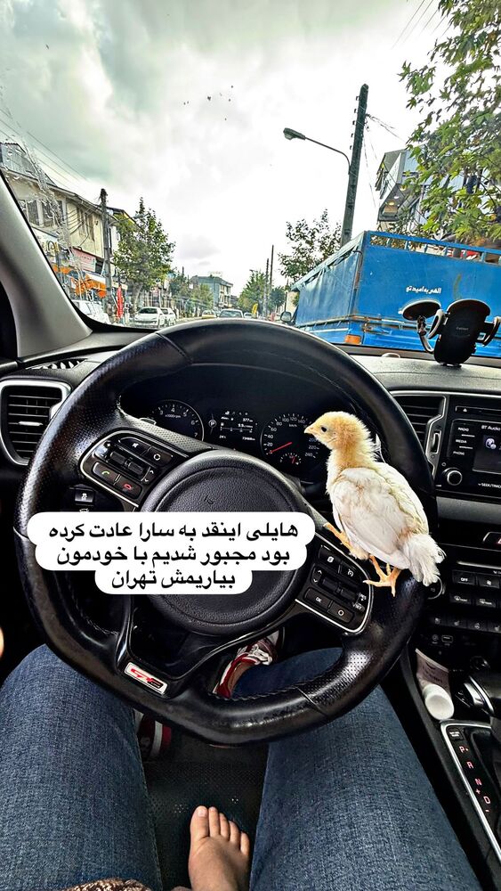  جدید ترین استوری اینستاگرام هانی