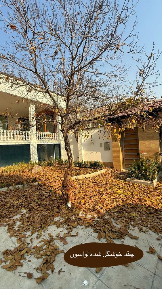  جدید ترین استوری اینستاگرام هانی