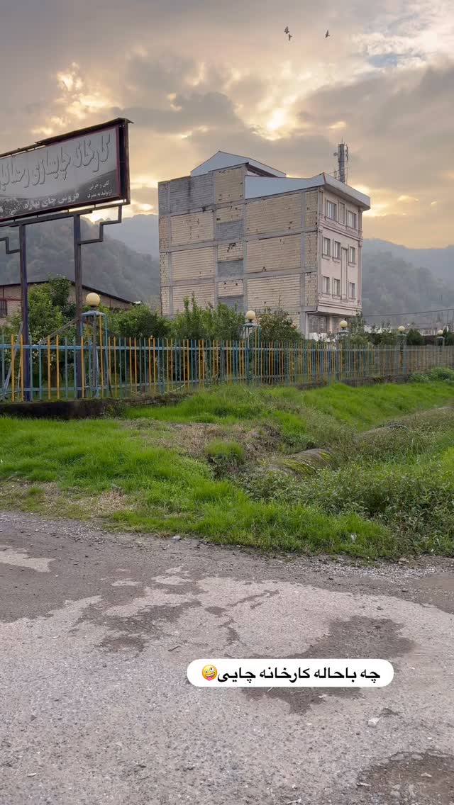  جدید ترین استوری اینستاگرام هانی