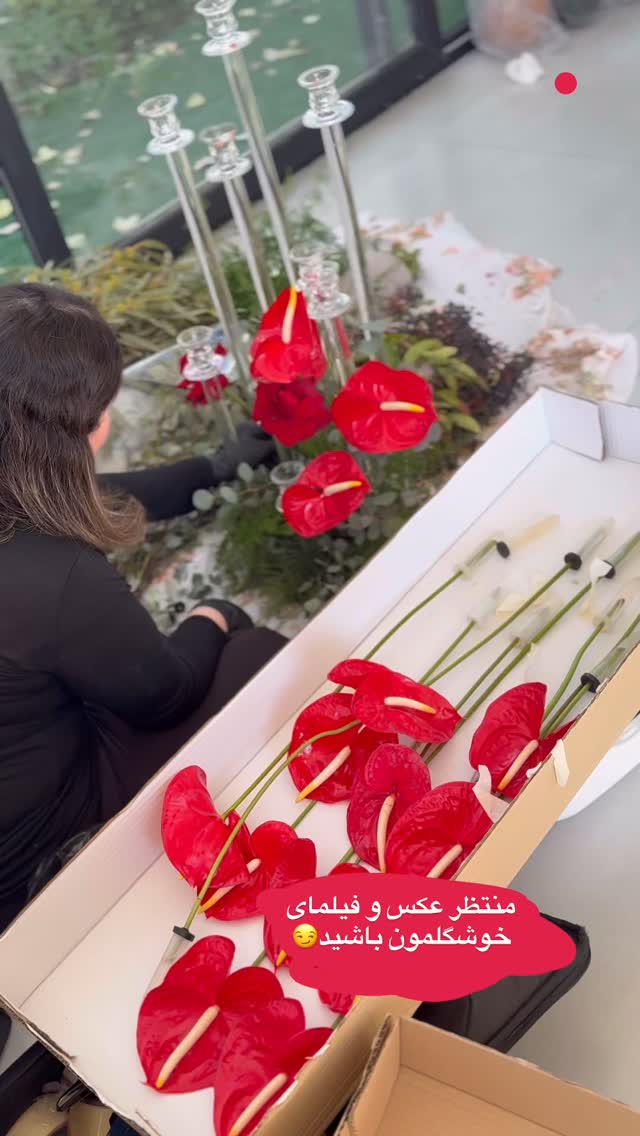 جدید ترین استوری اینستاگرام هانی