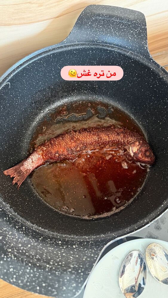  جدید ترین استوری اینستاگرام هانی