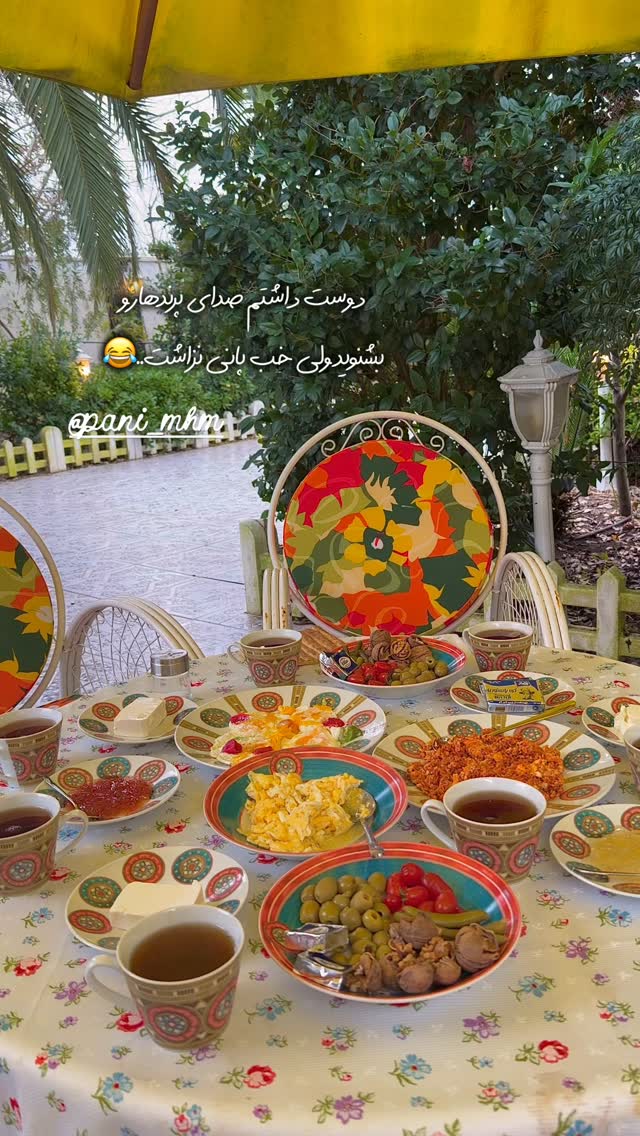  جدید ترین استوری اینستاگرام حانیه بستان احمدی