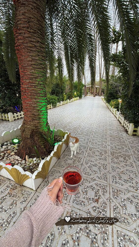  جدید ترین استوری اینستاگرام حانیه بستان احمدی