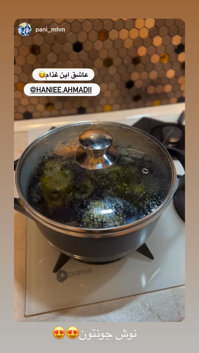  جدید ترین استوری اینستاگرام حانیه بستان احمدی