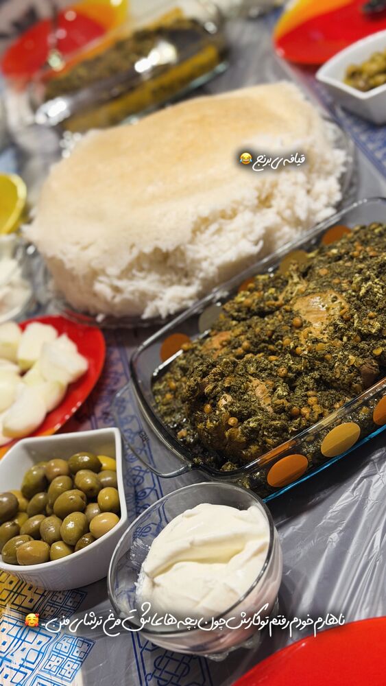  جدید ترین استوری اینستاگرام حانیه بستان احمدی