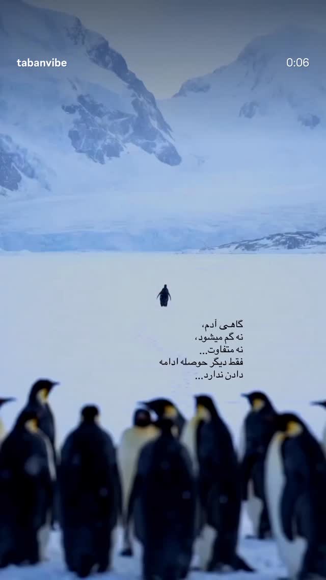  جدید ترین استوری اینستاگرام حانیه بستان احمدی