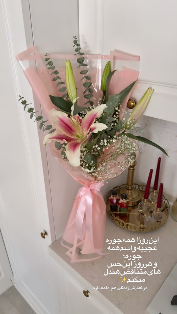  جدید ترین استوری اینستاگرام هانیه