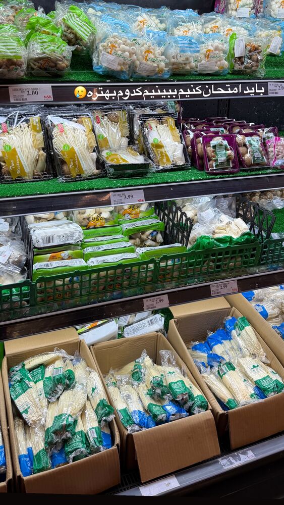  جدید ترین استوری اینستاگرام هانیه
