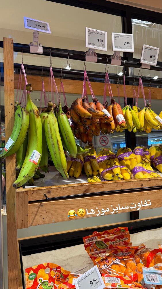  جدید ترین استوری اینستاگرام هانیه