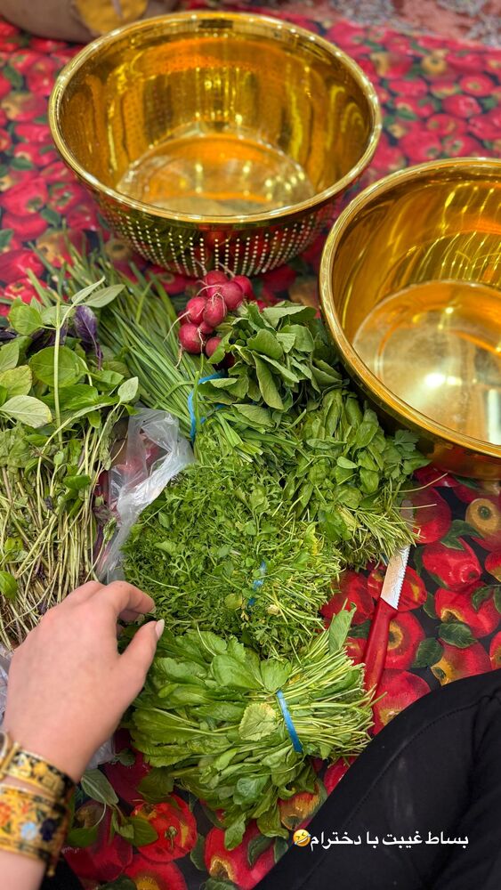  جدید ترین استوری اینستاگرام هانیه هاشمی