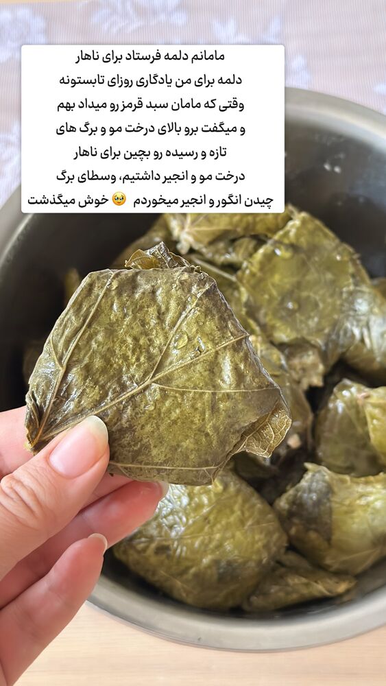  جدید ترین استوری اینستاگرام حریر عادلی