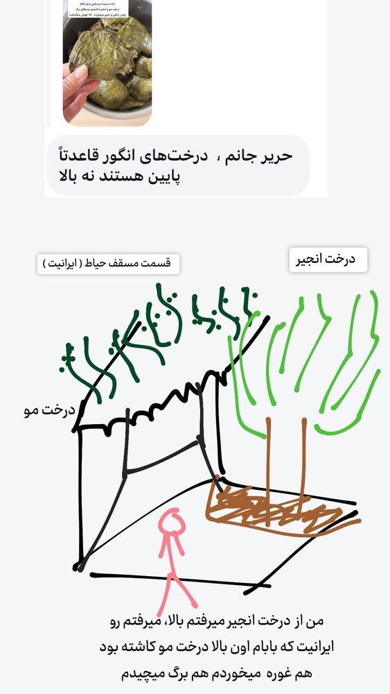  جدید ترین استوری اینستاگرام حریر عادلی