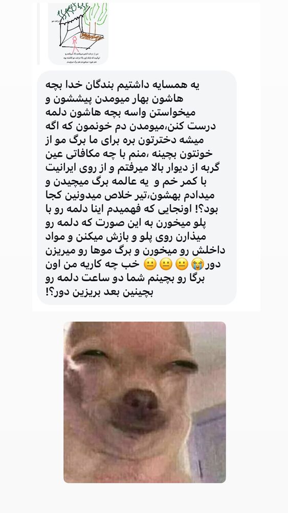  جدید ترین استوری اینستاگرام حریر عادلی