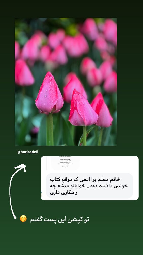  جدید ترین استوری اینستاگرام حریر عادلی