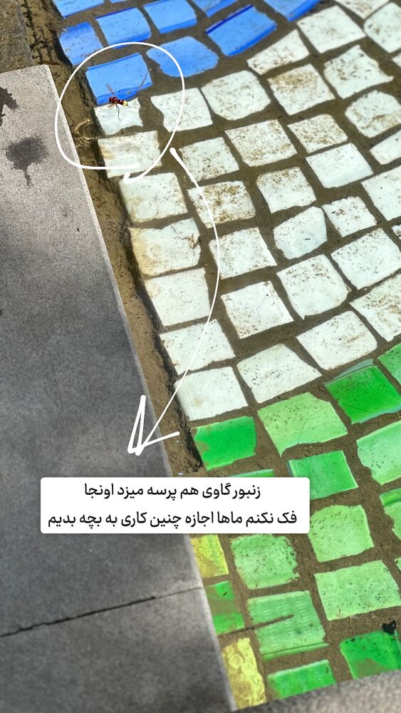  جدید ترین استوری اینستاگرام حریر عادلی