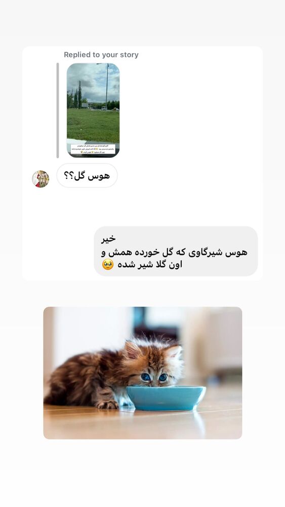  جدید ترین استوری اینستاگرام حریر عادلی