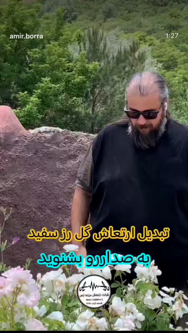  جدید ترین استوری اینستاگرام حریر عادلی