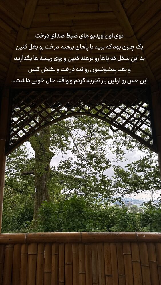  جدید ترین استوری اینستاگرام حریر عادلی