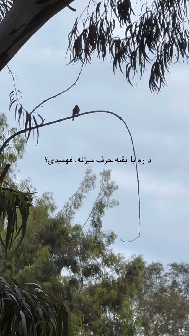  جدید ترین استوری اینستاگرام حریر عادلی