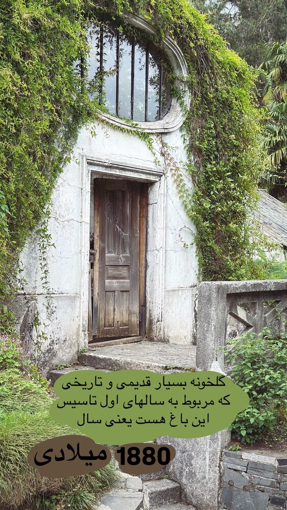  جدید ترین استوری اینستاگرام حریر عادلی