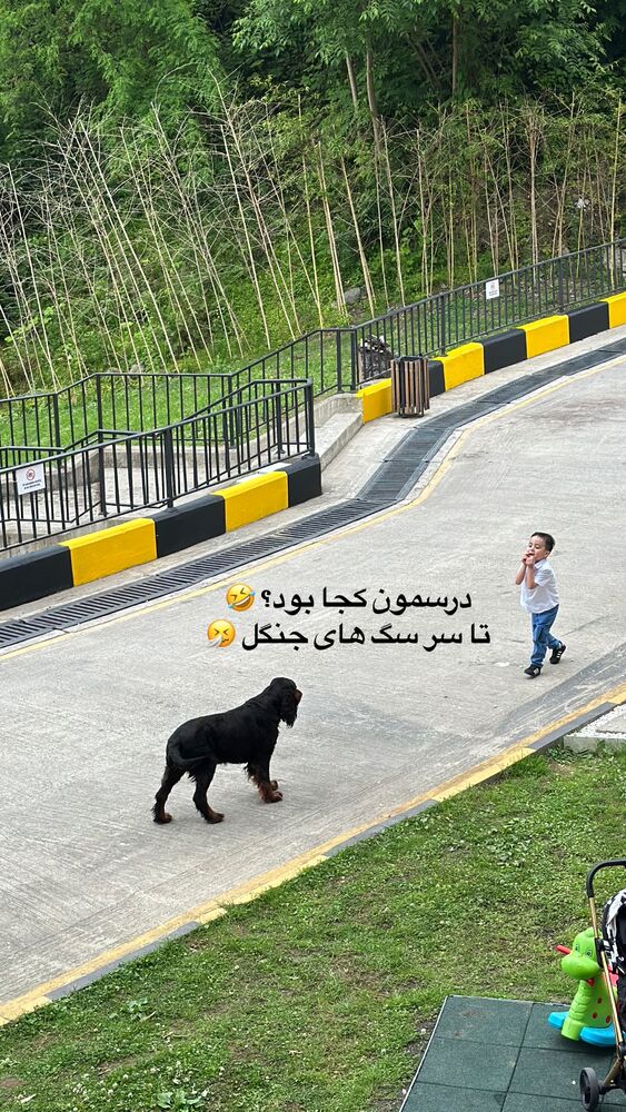  جدید ترین استوری اینستاگرام حریر عادلی