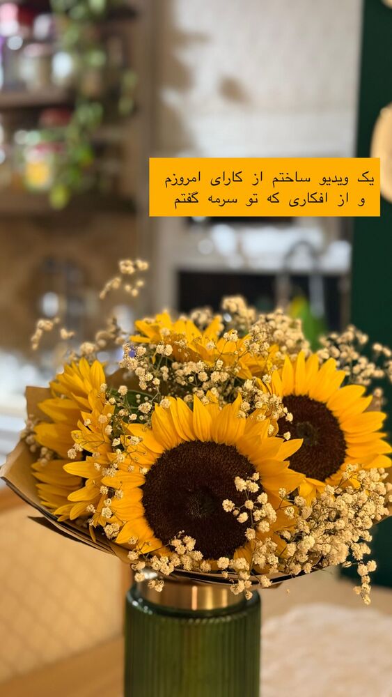  جدید ترین استوری اینستاگرام حریر عادلی