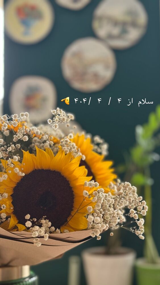  جدید ترین استوری اینستاگرام حریر عادلی