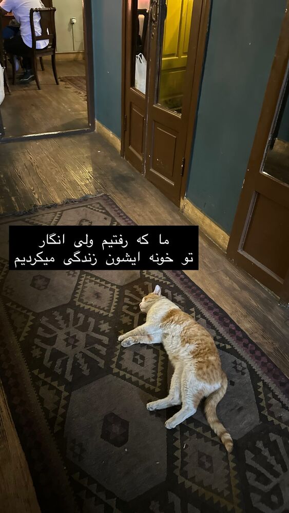  جدید ترین استوری اینستاگرام حریر عادلی