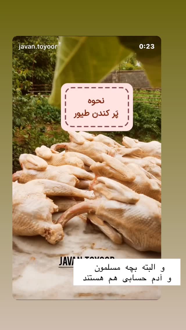  جدید ترین استوری اینستاگرام حریر عادلی