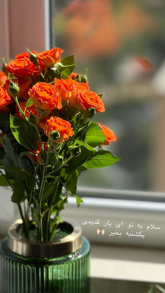  جدید ترین استوری اینستاگرام حریر عادلی