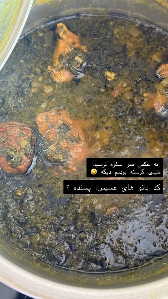  جدید ترین استوری اینستاگرام حریر عادلی