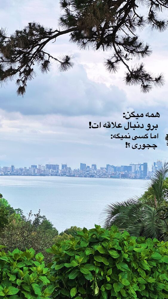  جدید ترین استوری اینستاگرام حریر عادلی