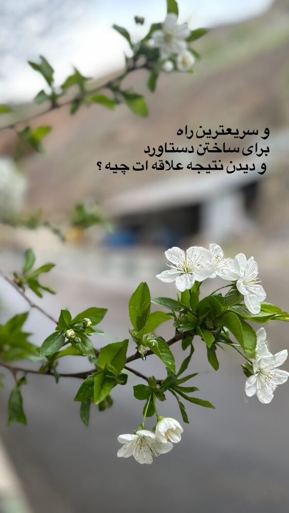  جدید ترین استوری اینستاگرام حریر عادلی