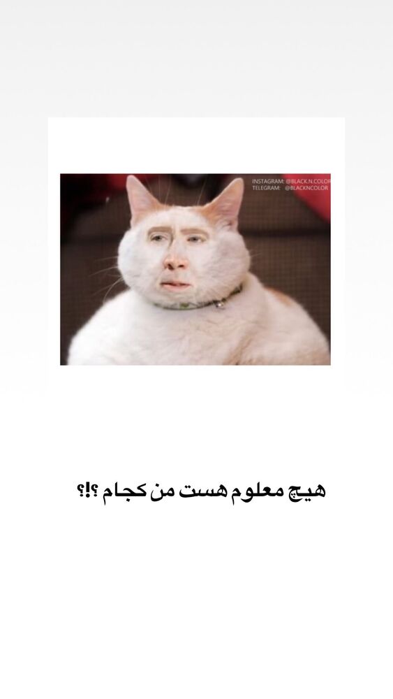  جدید ترین استوری اینستاگرام حریر عادلی