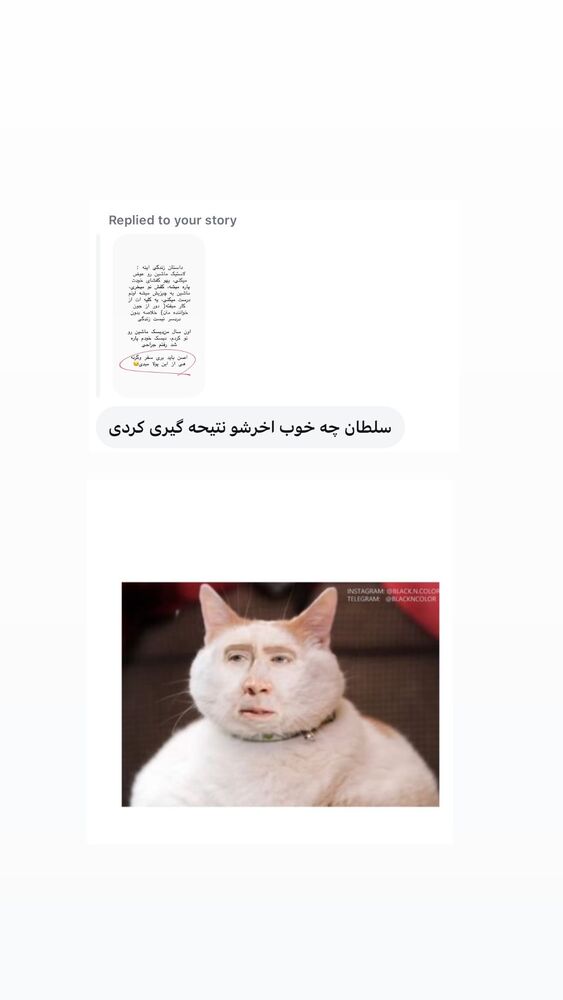 جدید ترین استوری اینستاگرام حریر عادلی