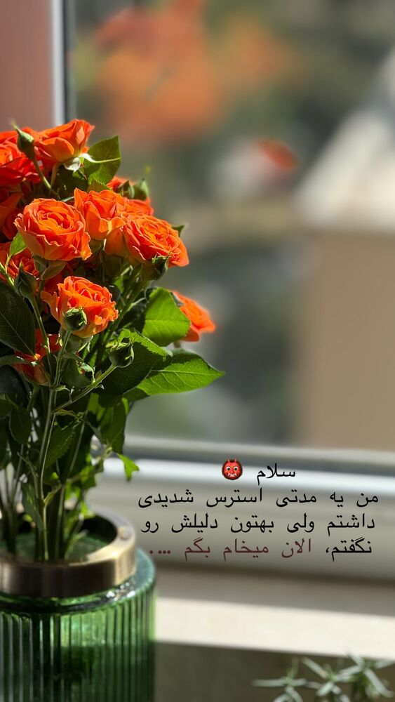  جدید ترین استوری اینستاگرام حریر عادلی