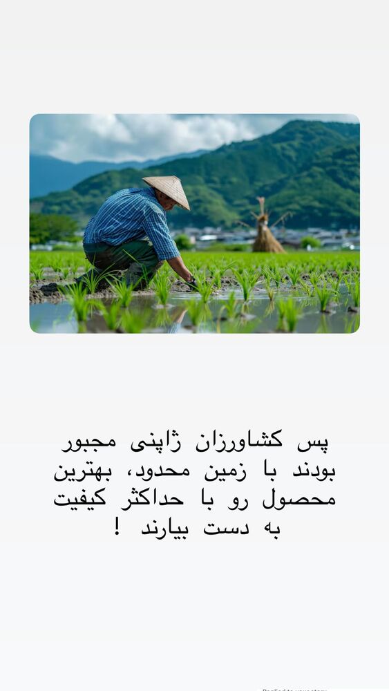  جدید ترین استوری اینستاگرام حریر عادلی