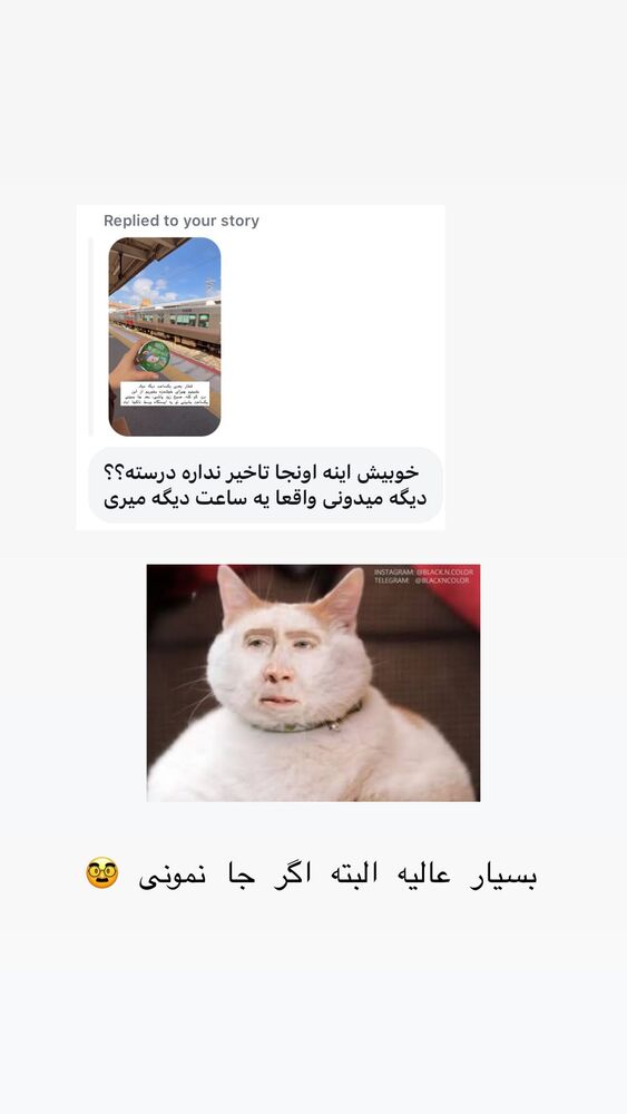  جدید ترین استوری اینستاگرام حریر عادلی