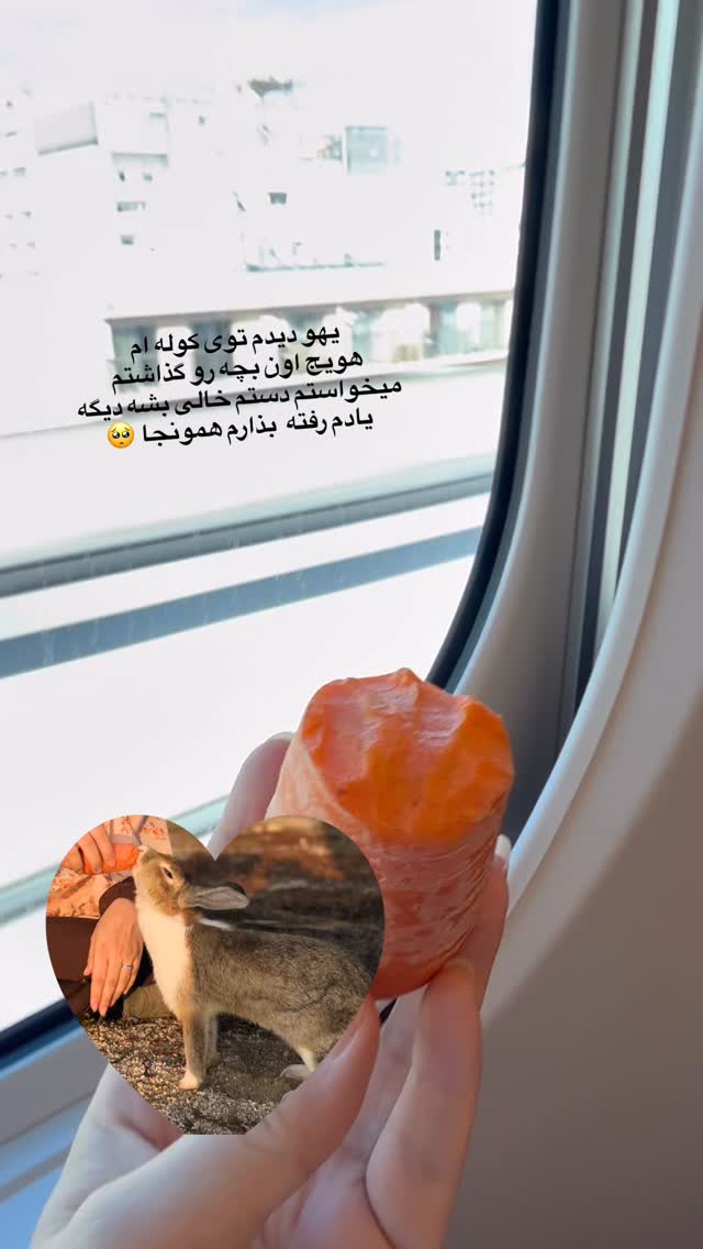  جدید ترین استوری اینستاگرام حریر عادلی