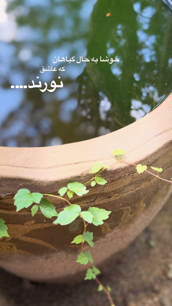  جدید ترین استوری اینستاگرام حریر عادلی