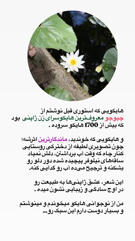  جدید ترین استوری اینستاگرام حریر عادلی