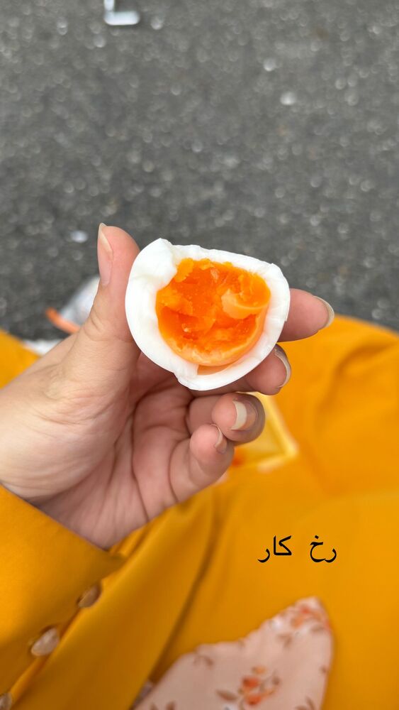  جدید ترین استوری اینستاگرام حریر عادلی