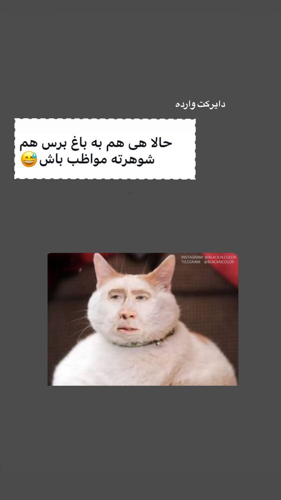  جدید ترین استوری اینستاگرام حریر عادلی