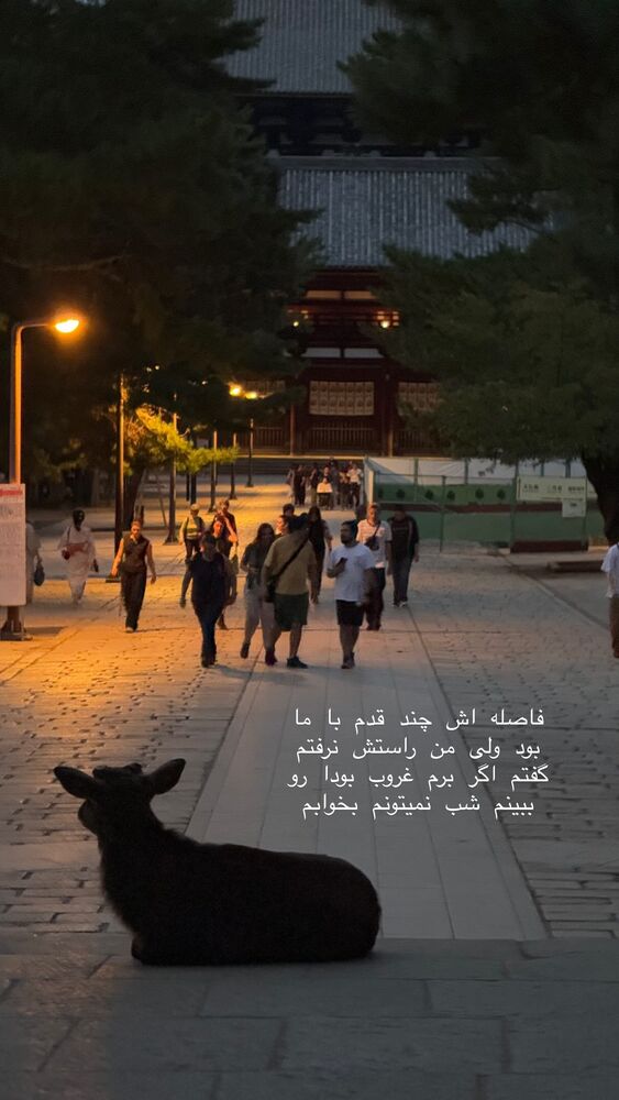  جدید ترین استوری اینستاگرام حریر عادلی
