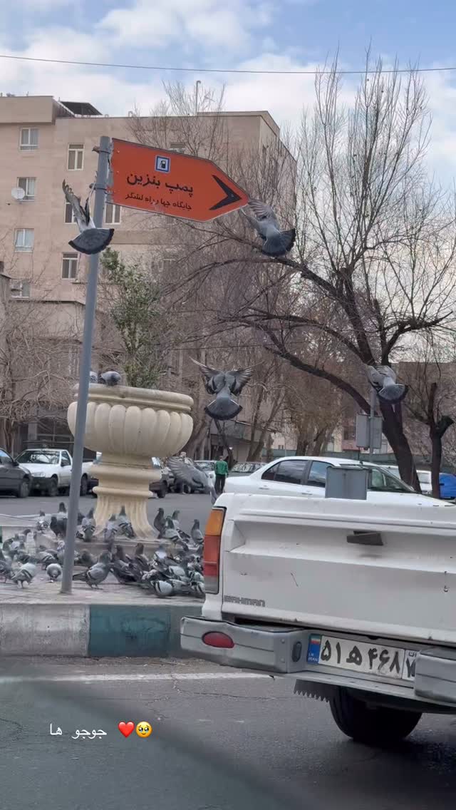  جدید ترین استوری اینستاگرام حریر عادلی