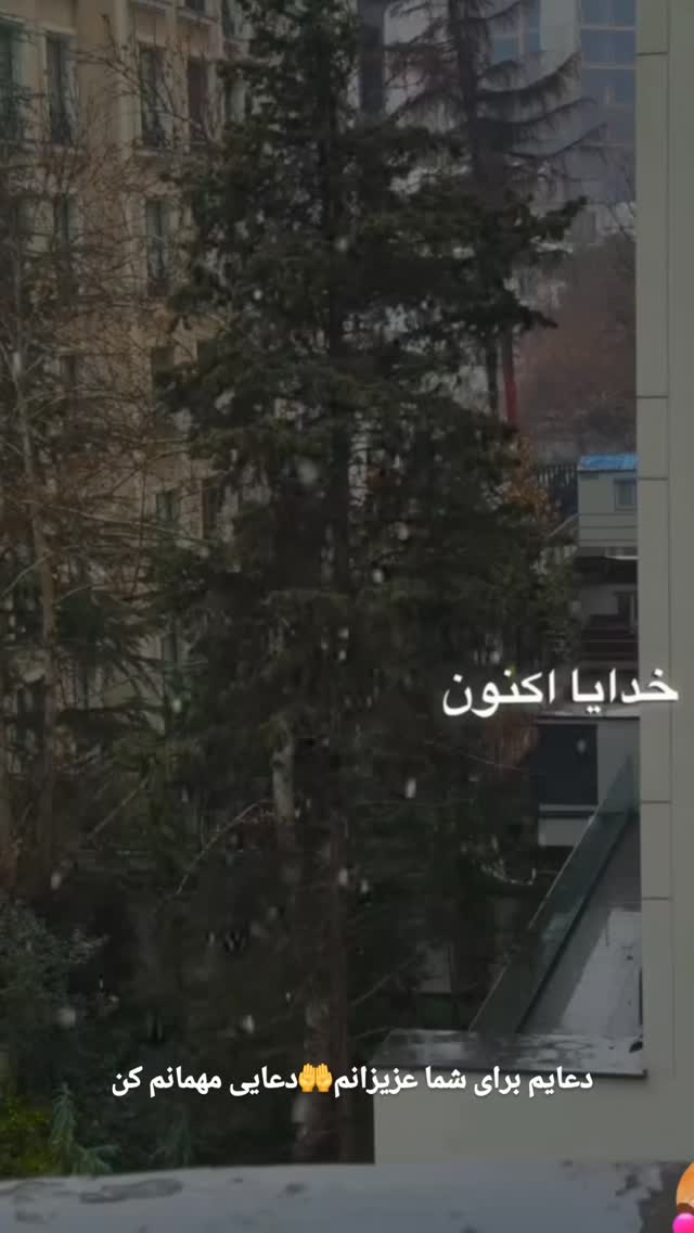  جدید ترین استوری اینستاگرام حسن عیال وار