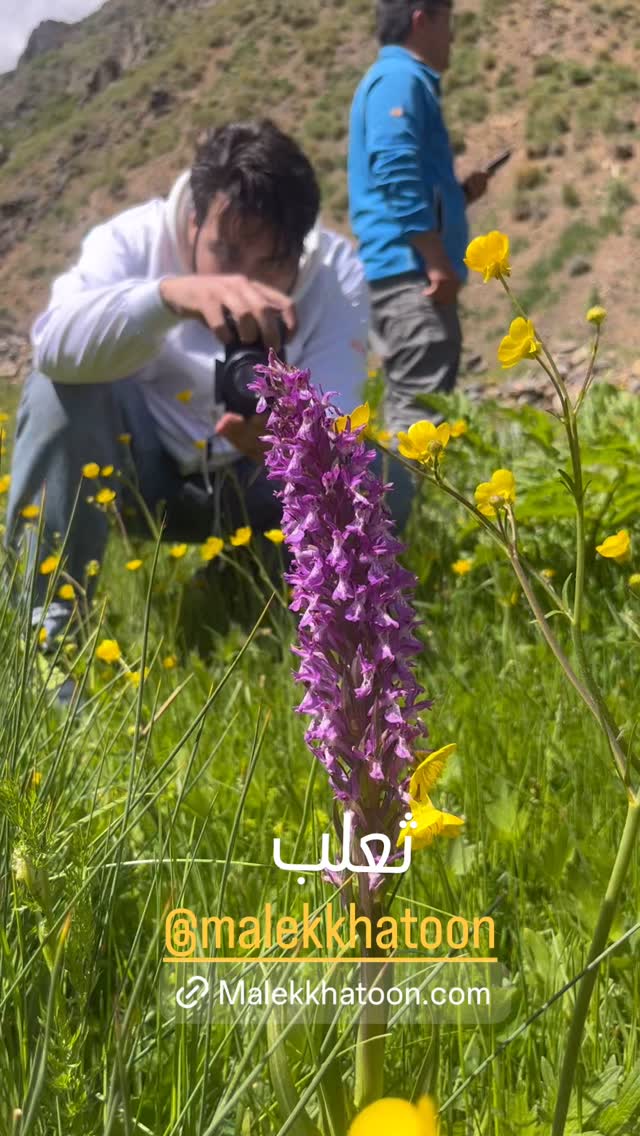  جدید ترین استوری اینستاگرام حسن آقامیری
