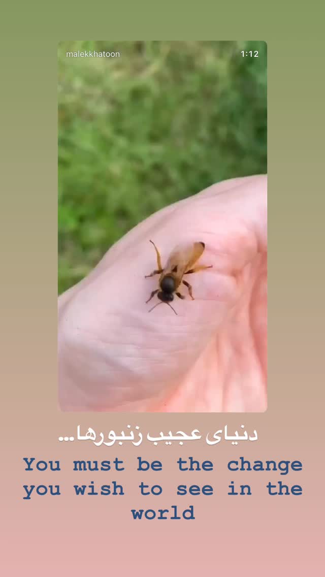  جدید ترین استوری اینستاگرام حسن آقامیری
