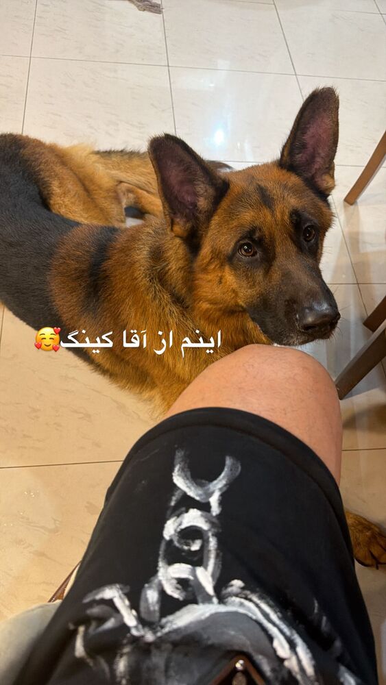  جدید ترین استوری اینستاگرام حسن خسروی