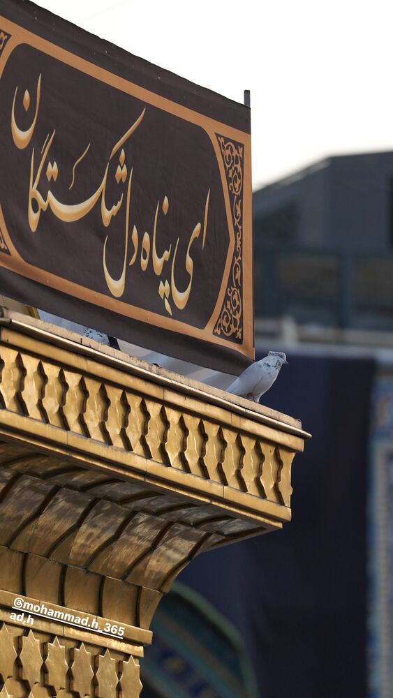  جدید ترین استوری اینستاگرام حسن روح الامین